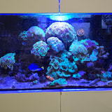 Review image 4